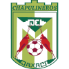 Chapulineros de Oaxaca